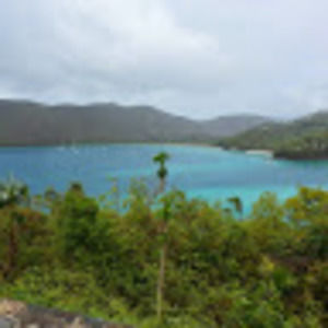 Meet your Posher, Bernadine